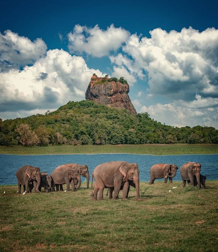 Sigiriya, Sri Lanka